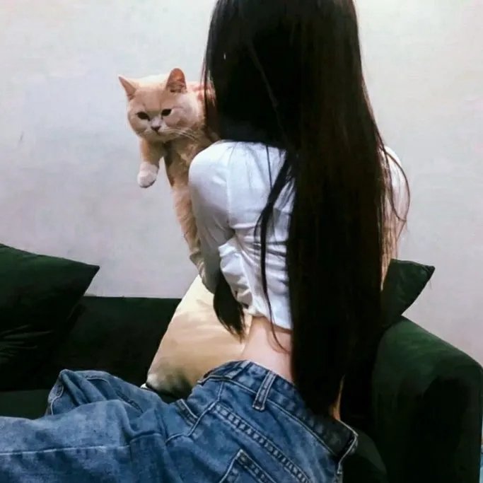 鹿